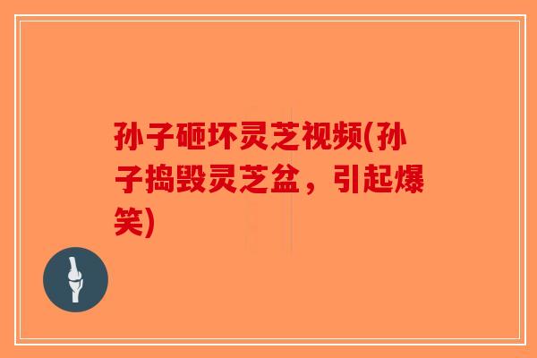 孙子砸坏灵芝视频(孙子捣毁灵芝盆，引起爆笑)