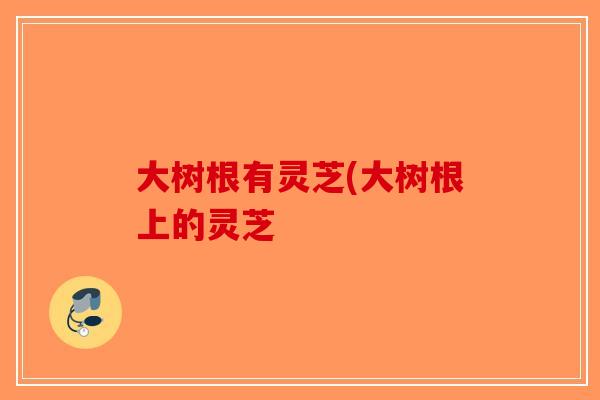 大树根有灵芝(大树根上的灵芝