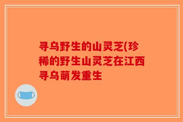 寻乌野生的山灵芝(珍稀的野生山灵芝在江西寻乌萌发重生