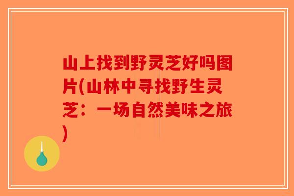 山上找到野灵芝好吗图片(山林中寻找野生灵芝：一场自然美味之旅)