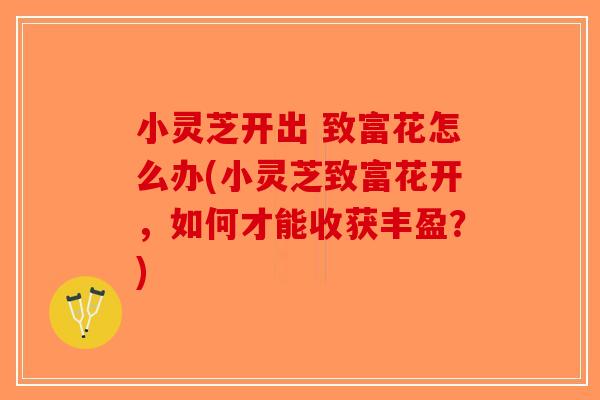 小灵芝开出 致富花怎么办(小灵芝致富花开，如何才能收获丰盈？)