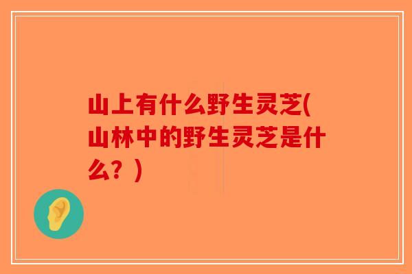 山上有什么野生灵芝(山林中的野生灵芝是什么？)
