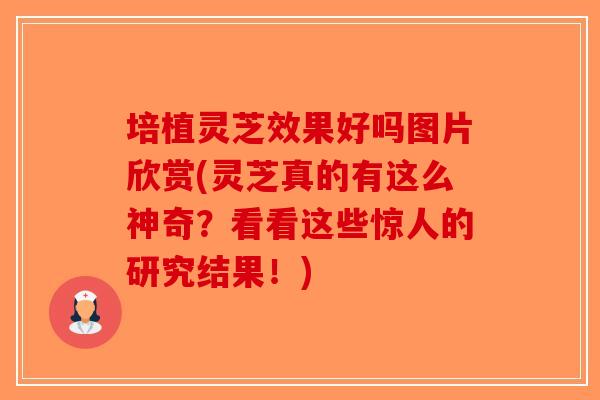 培植灵芝效果好吗图片欣赏(灵芝真的有这么神奇？看看这些惊人的研究结果！)