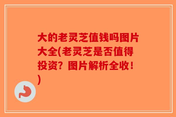 大的老灵芝值钱吗图片大全(老灵芝是否值得投资？图片解析全收！)