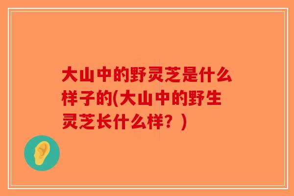 大山中的野灵芝是什么样子的(大山中的野生灵芝长什么样？)