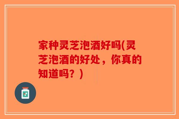 家种灵芝泡酒好吗(灵芝泡酒的好处，你真的知道吗？)