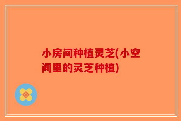 小房间种植灵芝(小空间里的灵芝种植)