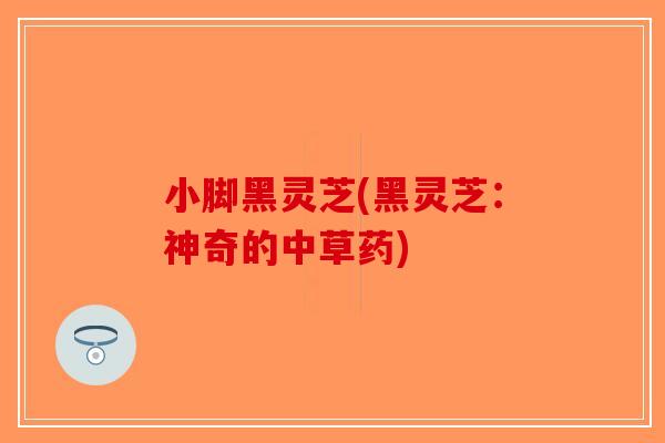 小脚黑灵芝(黑灵芝：神奇的中草药)