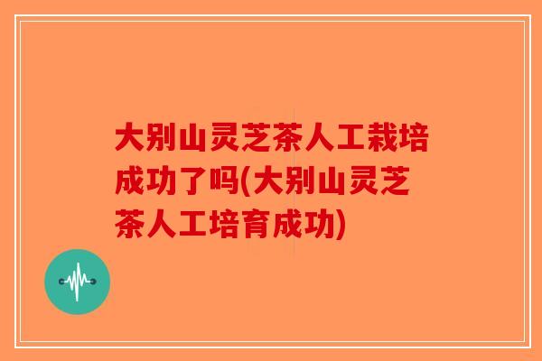 大别山灵芝茶人工栽培成功了吗(大别山灵芝茶人工培育成功)