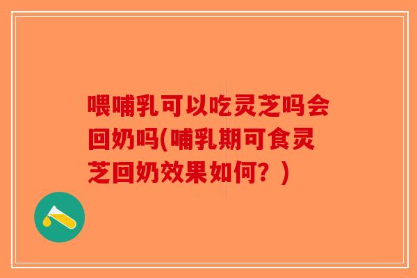 喂哺乳可以吃灵芝吗会回奶吗(哺乳期可食灵芝回奶效果如何？)