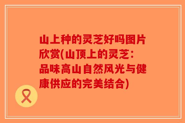 山上种的灵芝好吗图片欣赏(山顶上的灵芝：品味高山自然风光与健康供应的完美结合)