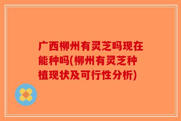 广西柳州有灵芝吗现在能种吗(柳州有灵芝种植现状及可行性分析)