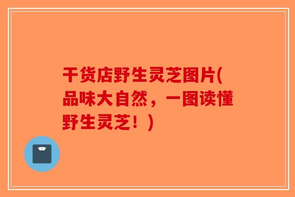 干货店野生灵芝图片(品味大自然，一图读懂野生灵芝！)