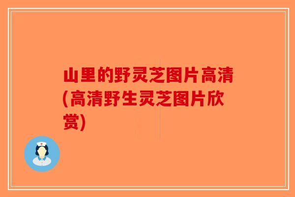 山里的野灵芝图片高清(高清野生灵芝图片欣赏)
