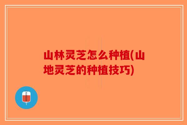 山林灵芝怎么种植(山地灵芝的种植技巧)