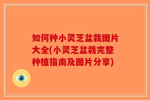 如何种小灵芝盆栽图片大全(小灵芝盆栽完整种植指南及图片分享)