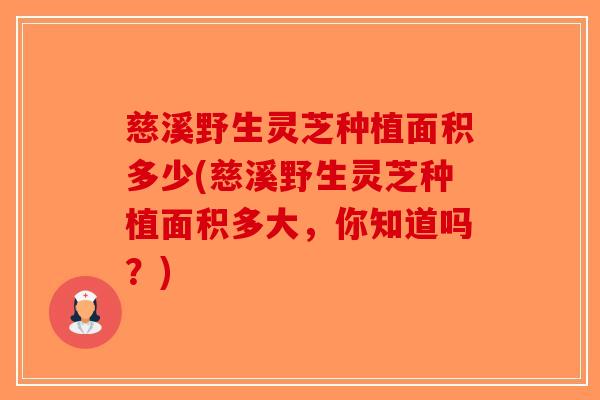 慈溪野生灵芝种植面积多少(慈溪野生灵芝种植面积多大，你知道吗？)