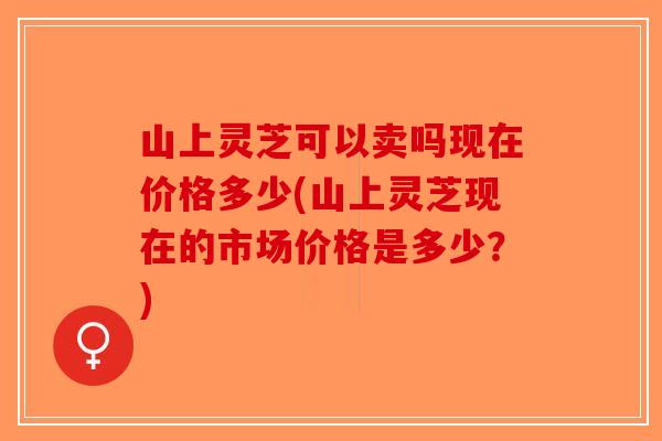 山上灵芝可以卖吗现在价格多少(山上灵芝现在的市场价格是多少？)