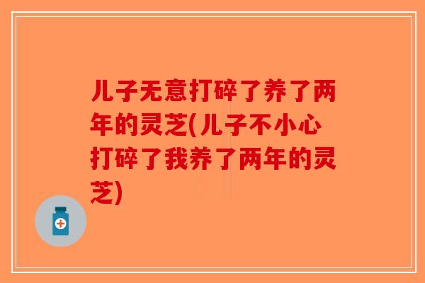 儿子无意打碎了养了两年的灵芝(儿子不小心打碎了我养了两年的灵芝)