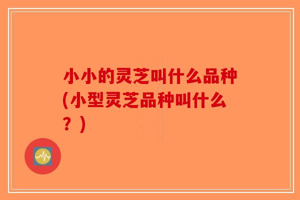 小小的灵芝叫什么品种(小型灵芝品种叫什么？)