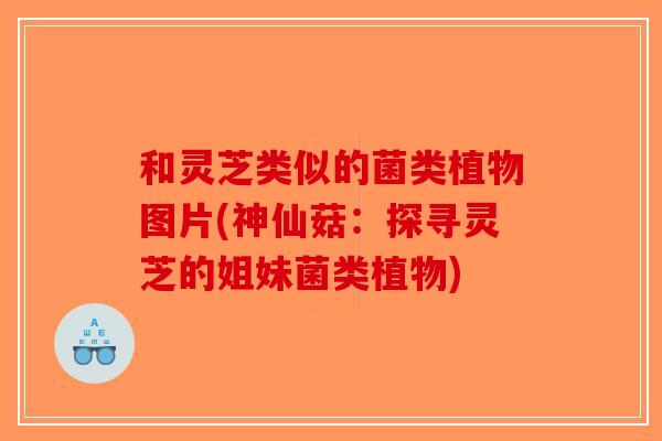 和灵芝类似的菌类植物图片(神仙菇：探寻灵芝的姐妹菌类植物)