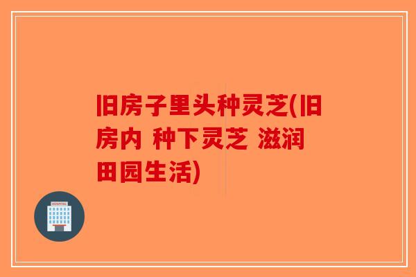 旧房子里头种灵芝(旧房内 种下灵芝 滋润田园生活)
