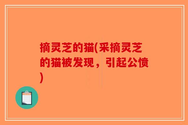摘灵芝的猫(采摘灵芝的猫被发现，引起公愤)