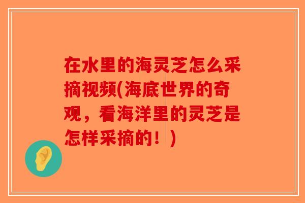 在水里的海灵芝怎么采摘视频(海底世界的奇观，看海洋里的灵芝是怎样采摘的！)