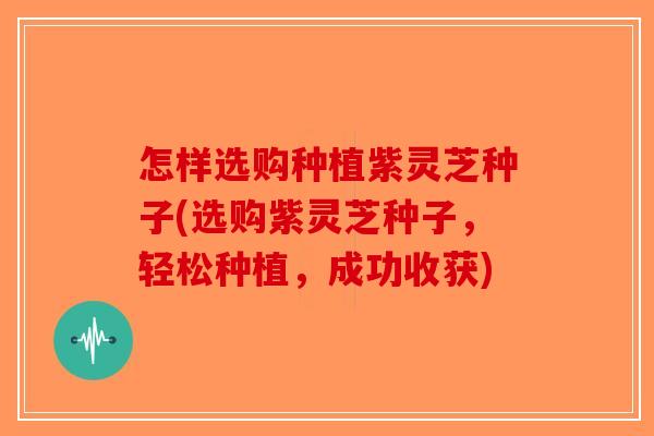 怎样选购种植紫灵芝种子(选购紫灵芝种子,轻松种植,成功收获) 怎样选购种植紫灵芝种子(选购紫灵芝种子,轻松种植,成功收获)