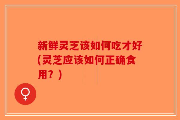 新鲜灵芝该如何吃才好(灵芝应该如何正确食用？)