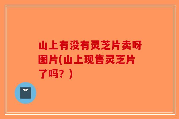 山上有没有灵芝片卖呀图片(山上现售灵芝片了吗？)