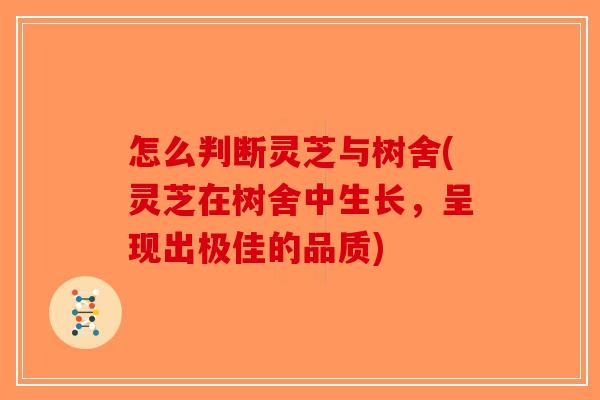 怎么判断灵芝与树舍(灵芝在树舍中生长，呈现出极佳的品质)