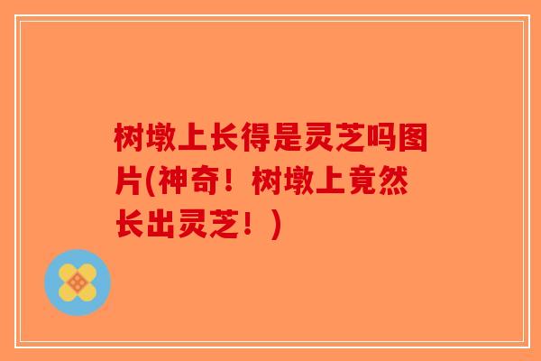 树墩上长得是灵芝吗图片(神奇！树墩上竟然长出灵芝！)