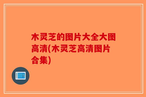 木灵芝的图片大全大图高清(木灵芝高清图片合集) 木灵芝的图片大全大图高清(木灵芝高清图片合集)