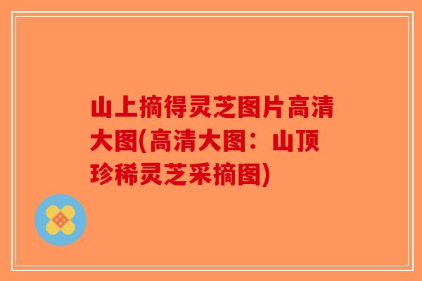 山上摘得灵芝图片高清大图(高清大图：山顶珍稀灵芝采摘图)