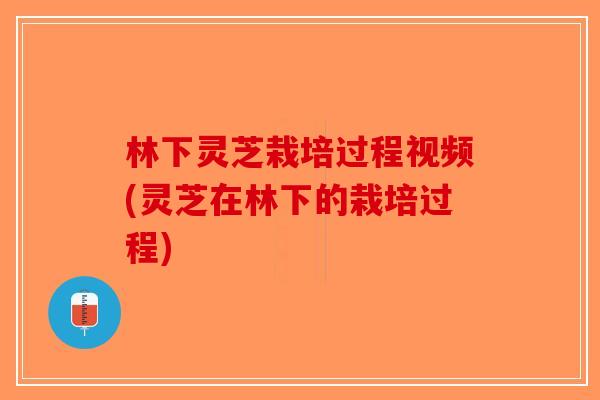 林下灵芝栽培过程视频(灵芝在林下的栽培过程)