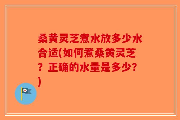 桑黄灵芝煮水放多少水合适(如何煮桑黄灵芝？正确的水量是多少？)
