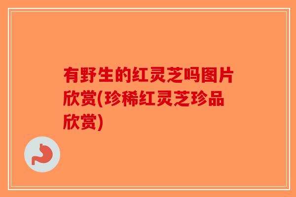有野生的红灵芝吗图片欣赏(珍稀红灵芝珍品欣赏)