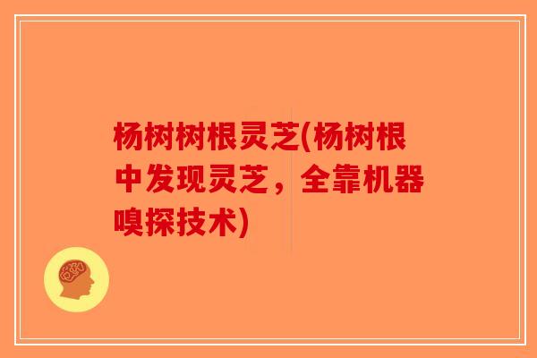 杨树树根灵芝(杨树根中发现灵芝，全靠机器嗅探技术)