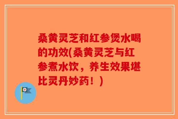 桑黄灵芝和红参煲水喝的功效(桑黄灵芝与红参煮水饮，养生效果堪比灵丹妙药！)