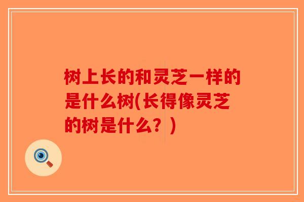 树上长的和灵芝一样的是什么树(长得像灵芝的树是什么？)