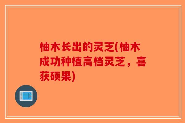 柚木长出的灵芝(柚木成功种植高档灵芝，喜获硕果)