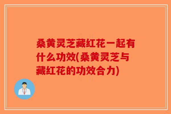 桑黄灵芝藏红花一起有什么功效(桑黄灵芝与藏红花的功效合力)