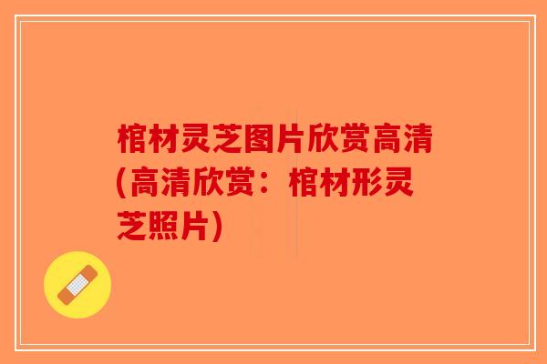 棺材灵芝图片欣赏高清(高清欣赏:棺材形灵芝照片) 棺材灵芝图片欣赏高清(高清欣赏:棺材形灵芝照片)