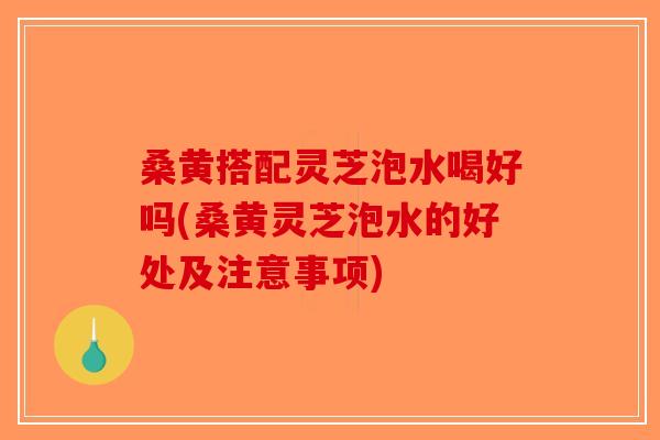 桑黄搭配灵芝泡水喝好吗(桑黄灵芝泡水的好处及注意事项)