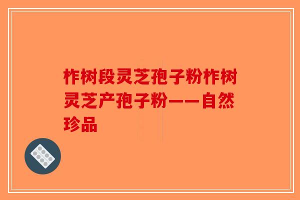 柞树段灵芝孢子粉柞树灵芝产孢子粉——自然珍品