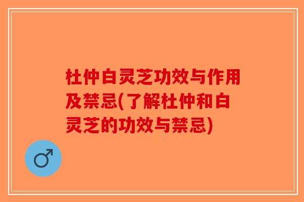 杜仲白灵芝功效与作用及禁忌(了解杜仲和白灵芝的功效与禁忌) 杜仲白灵芝功效与作用及禁忌(了解杜仲和白灵芝的功效与禁忌)