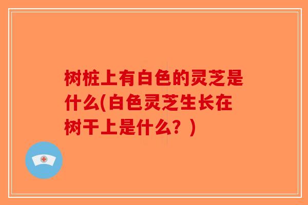 树桩上有白色的灵芝是什么(白色灵芝生长在树干上是什么？)