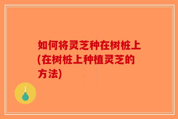 如何将灵芝种在树桩上(在树桩上种植灵芝的方法)