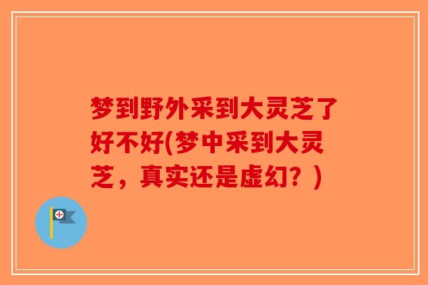 梦到野外采到大灵芝了好不好(梦中采到大灵芝，真实还是虚幻？)